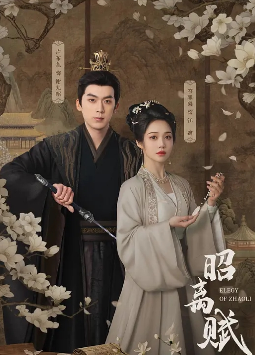 潜入女厕近距离偷窥 - 极流TV海报